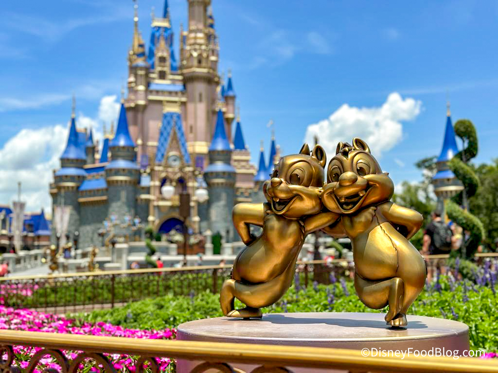 The Ultimate Packing List for Toddlers in Disney World